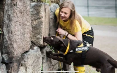 Næsearbejde og mennesker